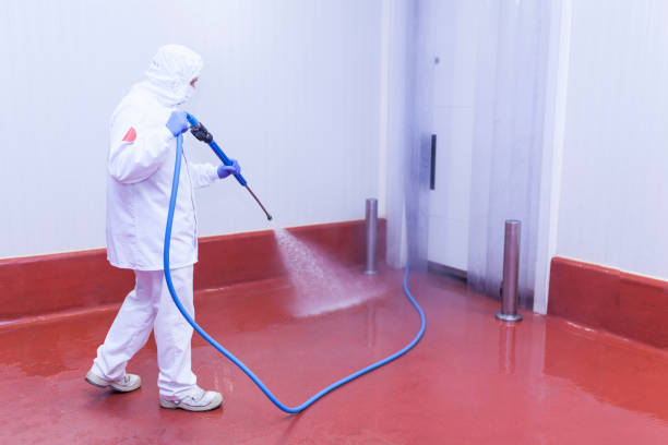 Best Oil Spill Cleanup  in Newburyport, MA